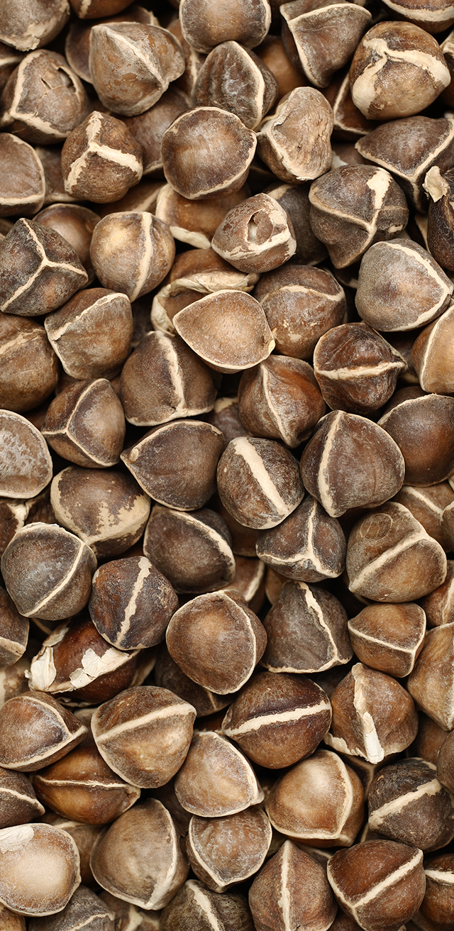 Óleos Vegetais da Scents from Nature