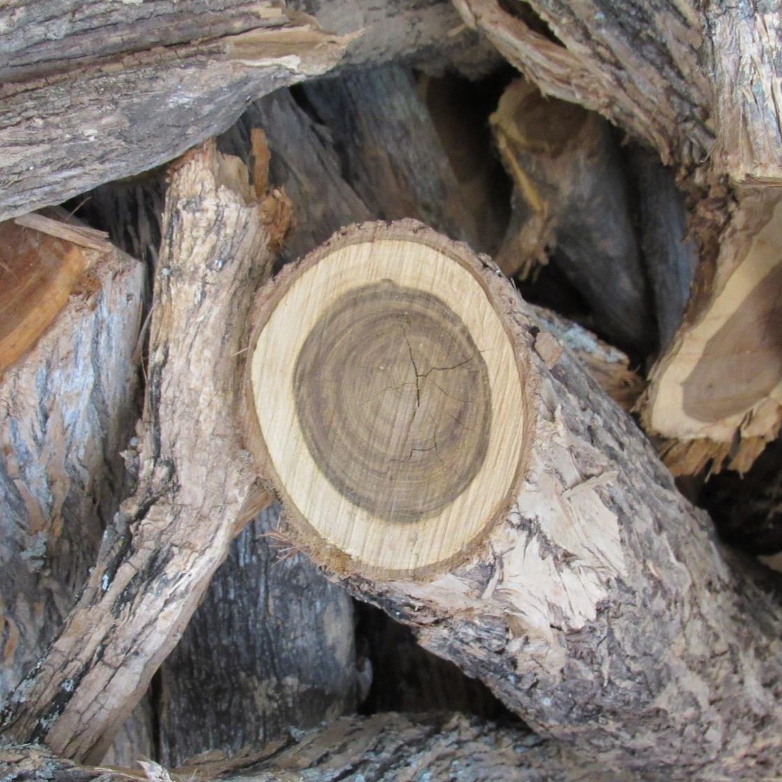 Muhuhu African Sandalwood Organic Essential Oil Sample