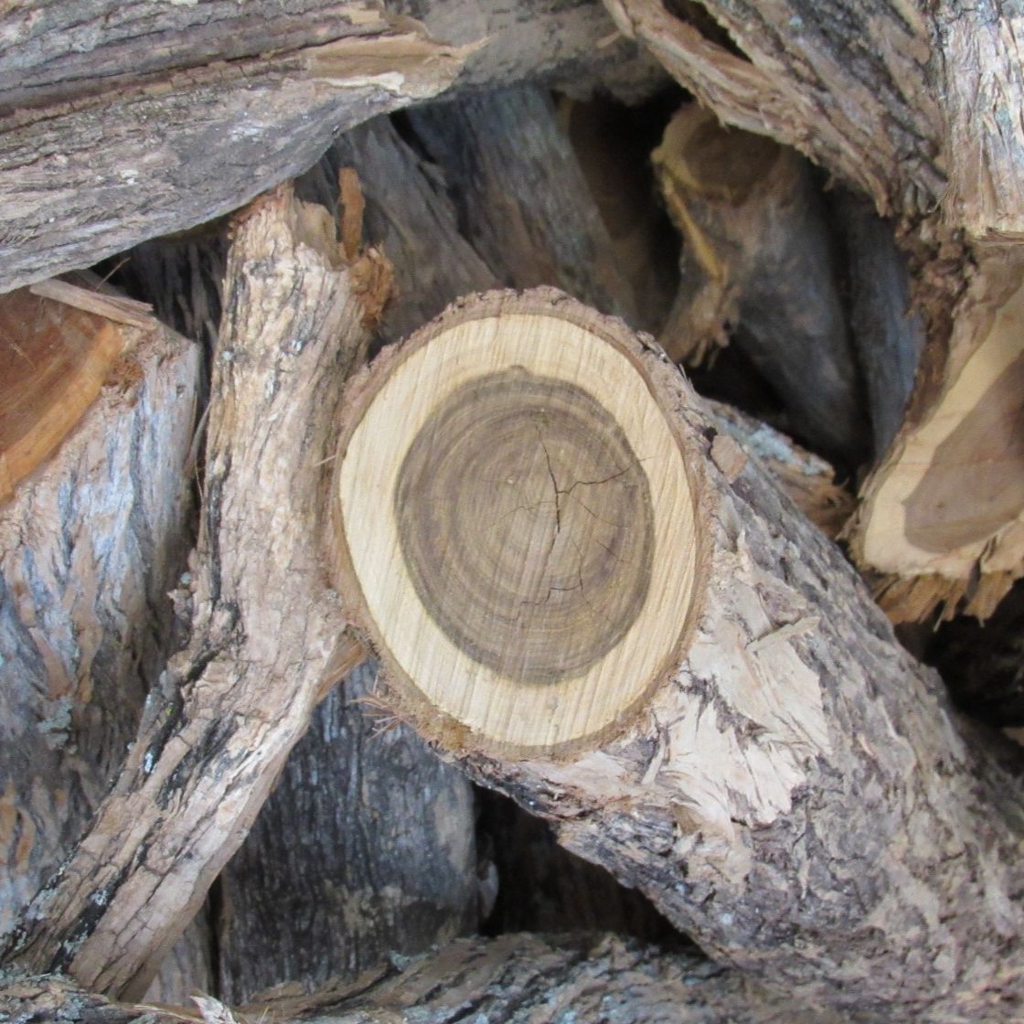 Muhuhu African Sandalwood Organic Essential Oil