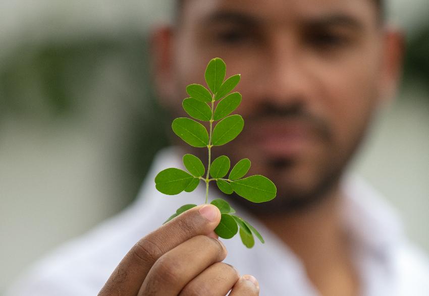 Environmental Sustainability Scents from Nature