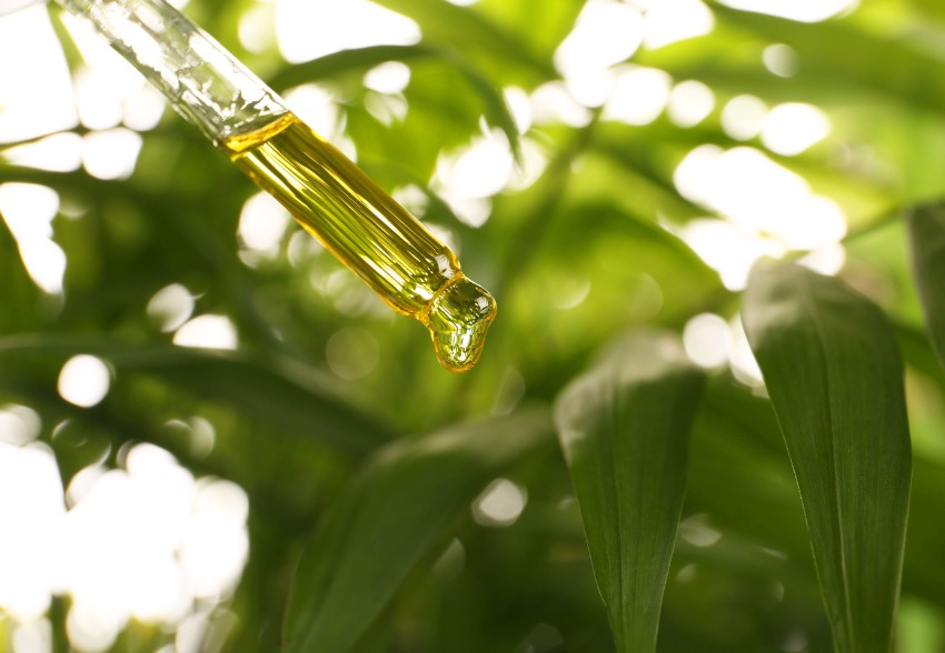 Óleos vegetais na cosmética natural