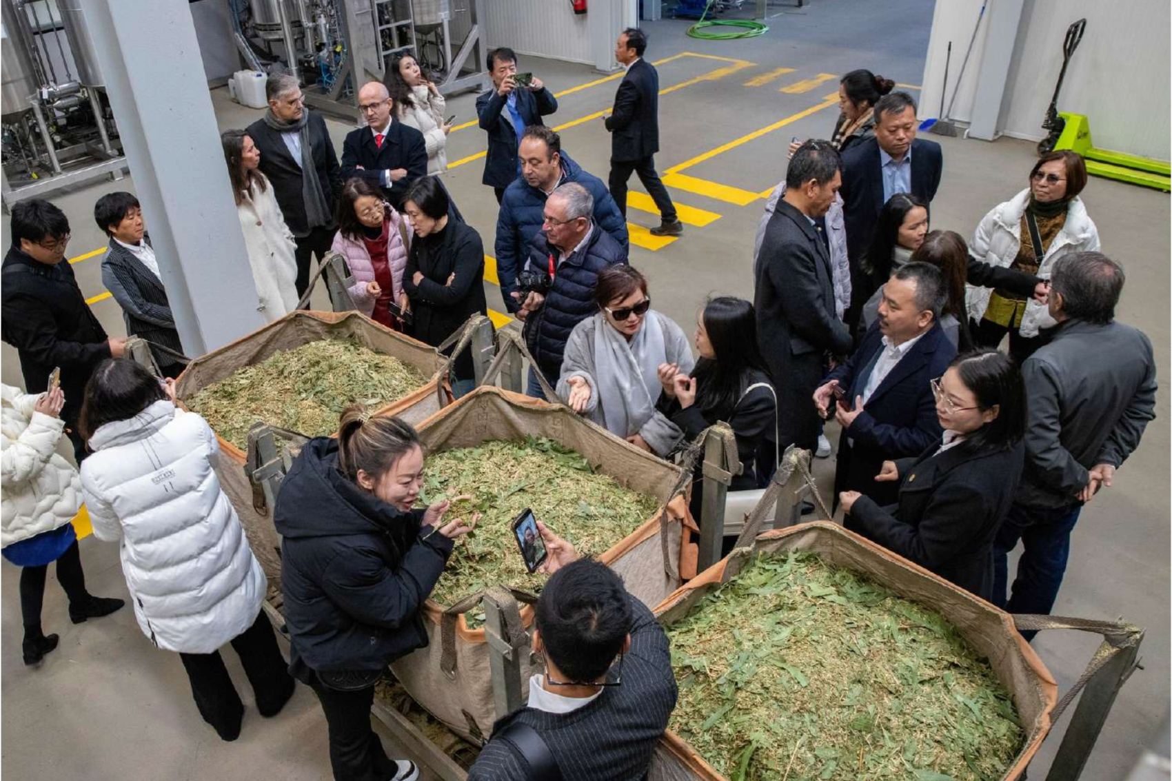 The Future of Scents from Nature: Connecting Portugal and China