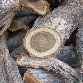 Muhuhu African Sandalwood