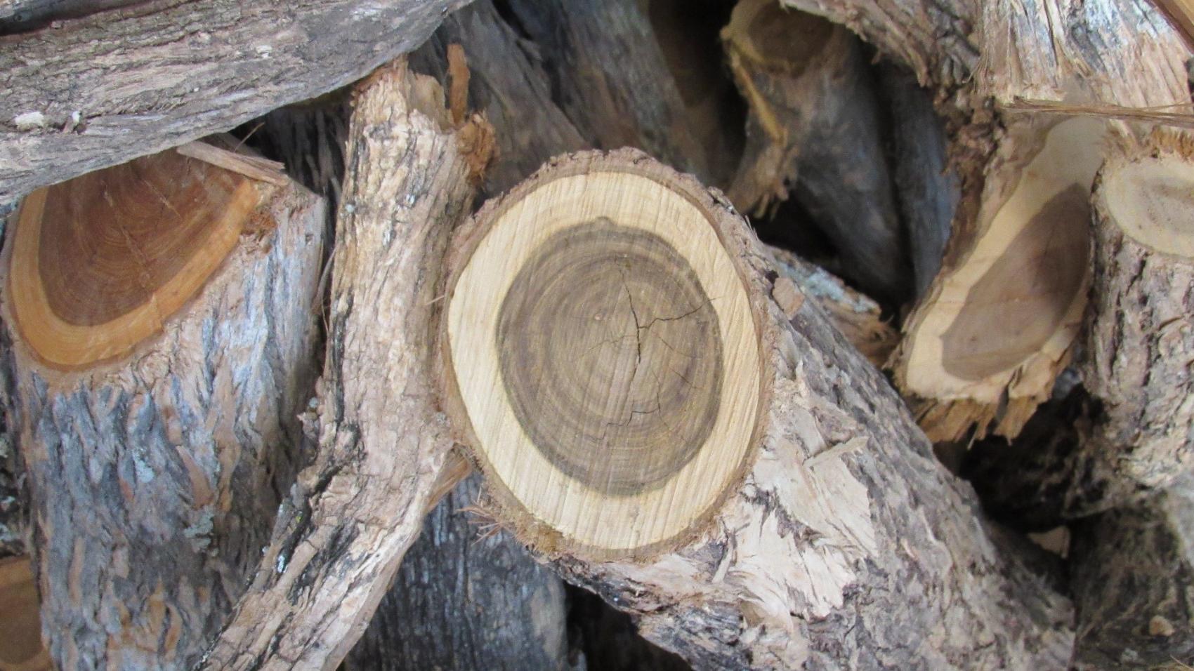 Muhuhu African Sandalwood Essential Oil