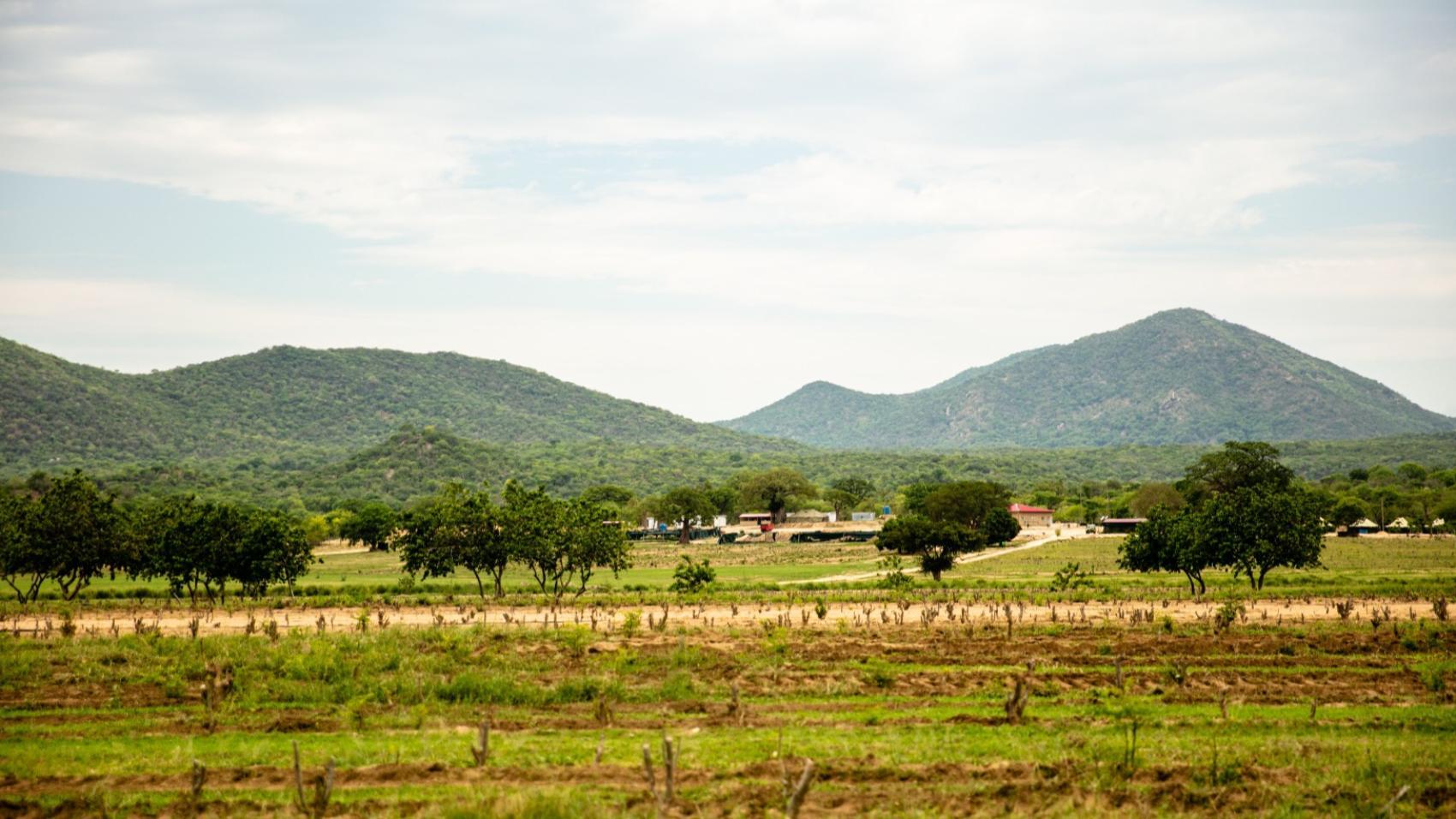 Scents from Nature Angola Mountains